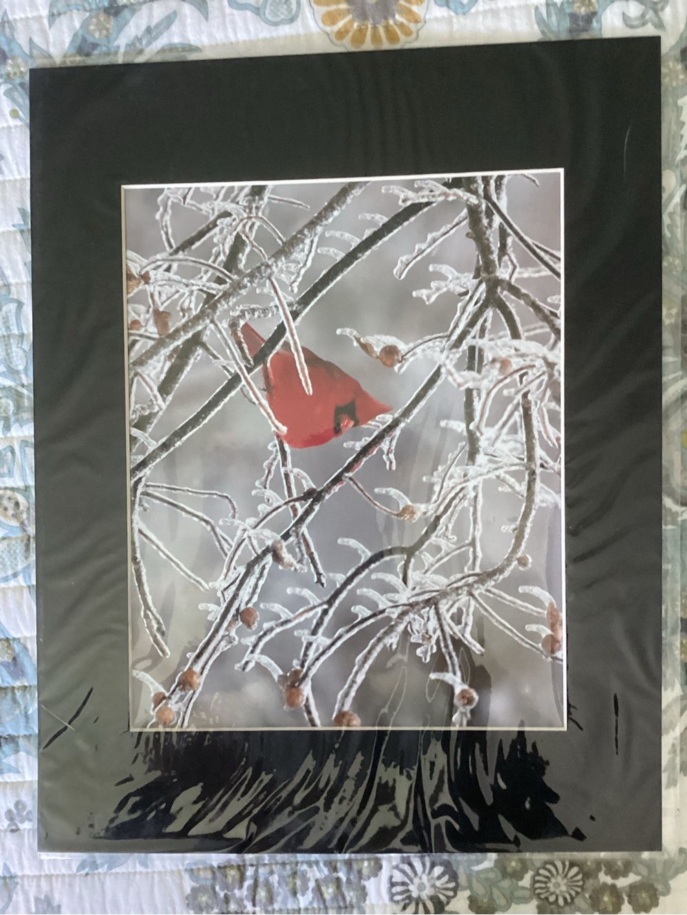Matted Red Cardinal Photography Print